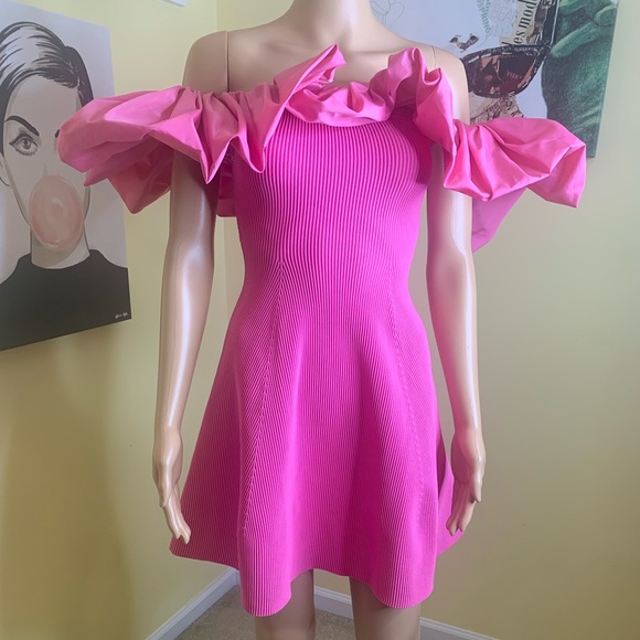 💫HP‼️💫 NWOT AJE Eldora Retro-inspired Mini Dress w/Ruffles in Pink, Size XS - Picture 9 of 10